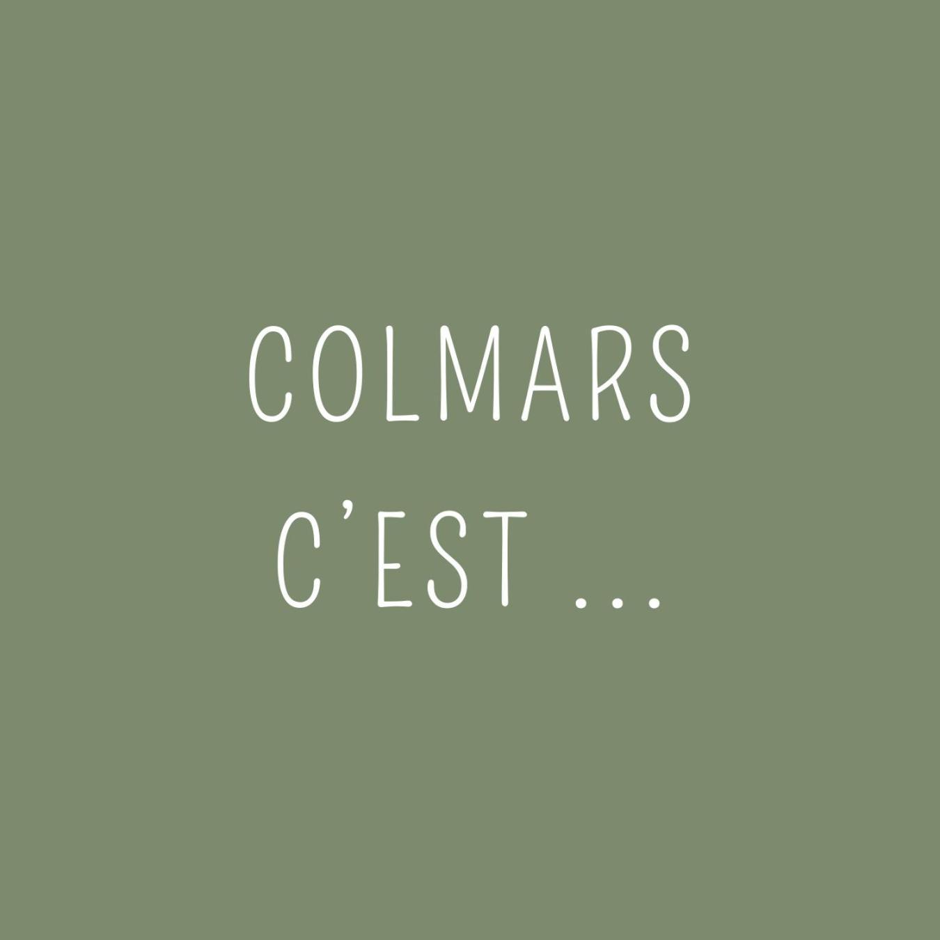 Maison Familiale Des Remparts Colmars Exterior foto